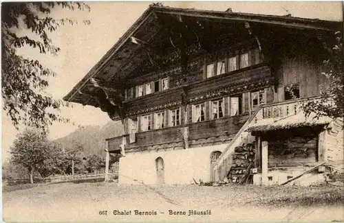 Weissenburg - Chalet Bernois -158204