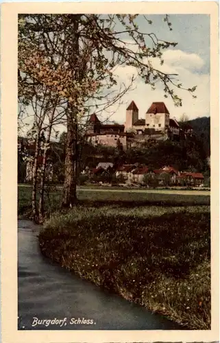 Burgdorf - Schloss -159836
