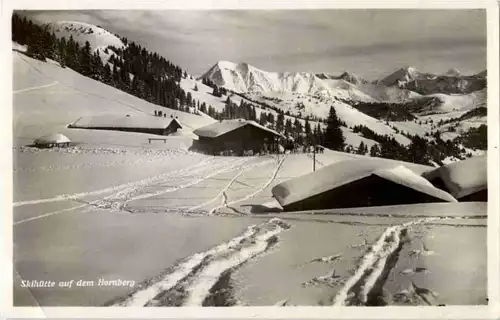 Gstaad - Sjihütte auf dem Hornberg -157792