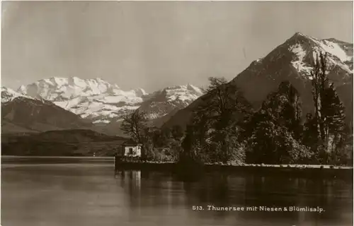 Thunersee mit Niesen -160140