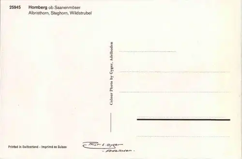 Hornberg Saanenmöser -158042