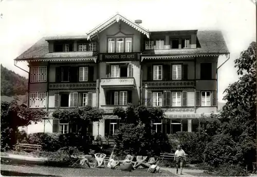 Wilderswil - Park Hotel des Alpes -158984