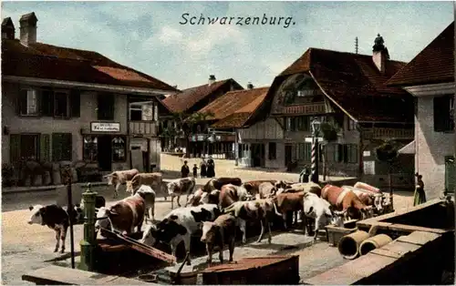 Schwarzenburg -156856