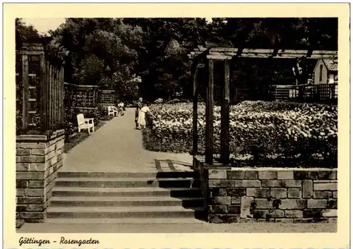 Göttingen - rosengarten -119418