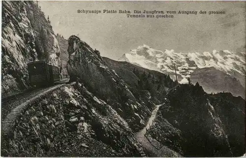 Schynige Platte Bahn -160712