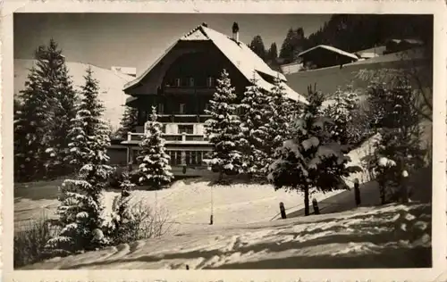 Gstaad - Hotel Alpenblick -159112