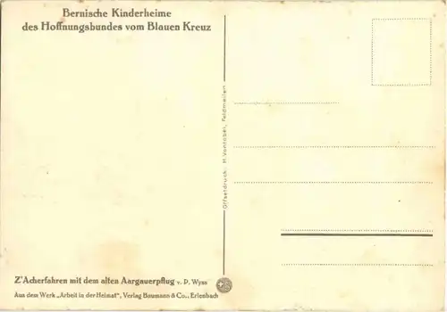 P. Wyss - Acherfahren mit dem alten Aargauerpflug -158656