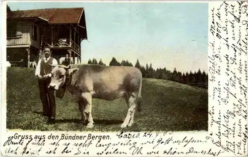 Gruss aus den Bündner Bergen - Kuh -160554