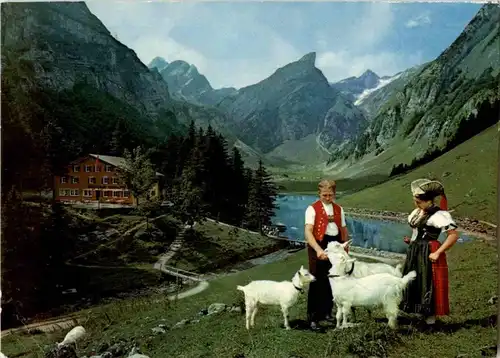 Im Alpstein - Ziegen Goat -159230