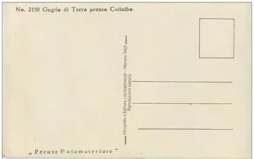 Guglia di Terra presso Collalbo -120582