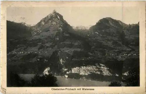 Oberstalden Filzbach -161360
