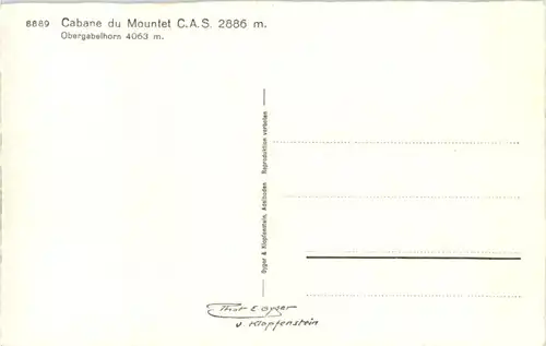 Cabane du Mountet - Berghütte -160498