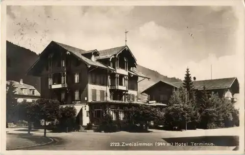 Zweisimmen - Hotel Terminus -158974