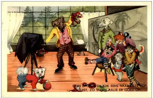 KAtzen Hunde - Humor -121534