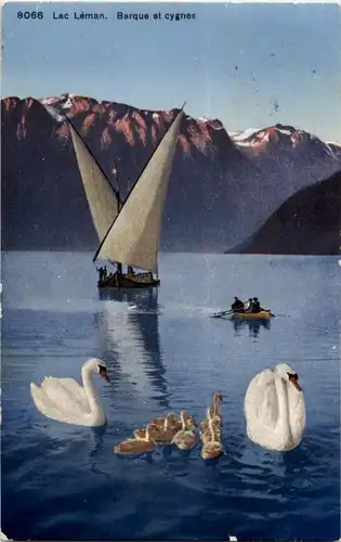 Geneve - Lac Leman -162934