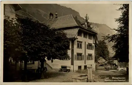 Weisstannen - Gasthaus zum Alpenhof -163096