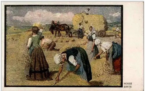 Hosse - Ernte -122370