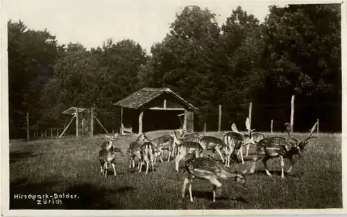 Zürich - Hirschpark Dolder -163344