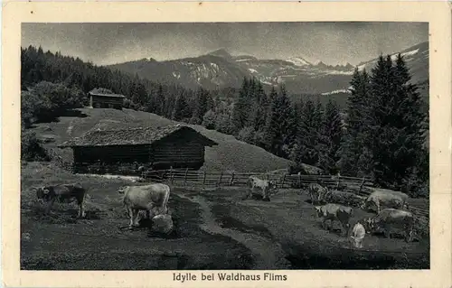 Idylle bei Waldhaus Flims -164128