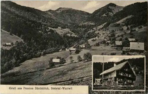 Steintal Wattwil - Gruss aus Pension Säntisblick -163116