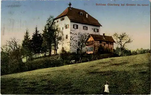 Gossau - Schloss Oberberg -164542