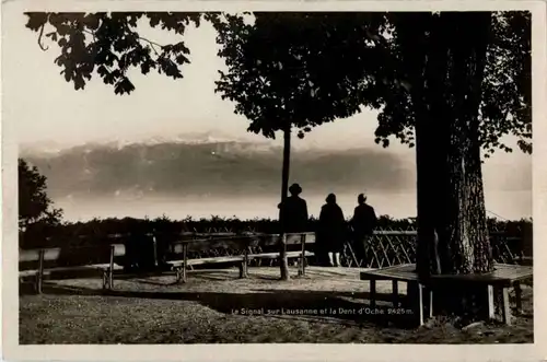 Le Signal sur Lausanne et le Dent d Oche -165172