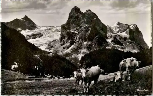 Rosenlaui - Kühe -165238