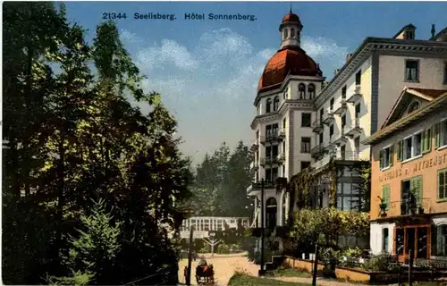 Seelisberg - Hotel Sonnenberg -165760