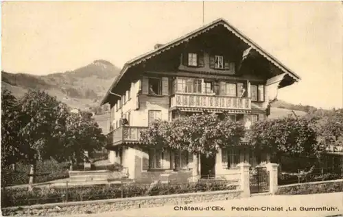 Chateau d Oex - Pension La Gummifluh -166140