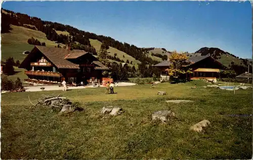 Saanenmöser - Hotel Hornberg -165704