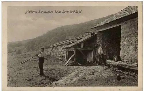 Molkerei Steinwasen beim Rotbachkopf -124986