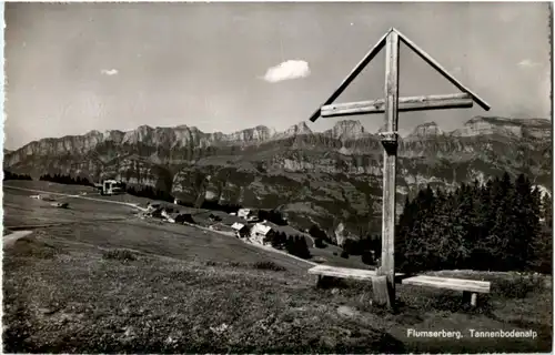 Flumserberg - Tannenbodenalp -165902