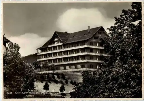 Wildhaus - Hotel Acker Wildhaus -166524