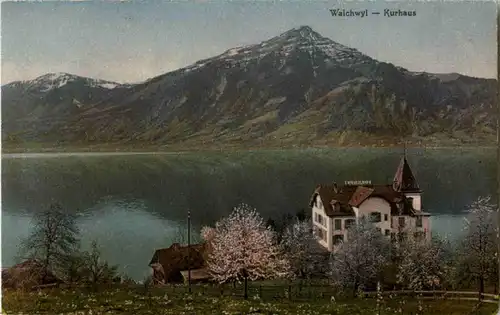 Wachwyl - Kurhaus -164400