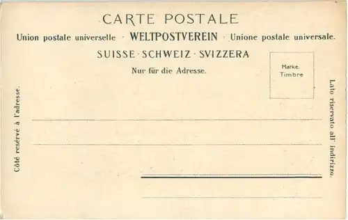 Thun - Die Aare Insel -165228