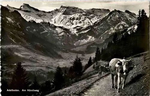 Adelboden - Am Hörnliweg -165292