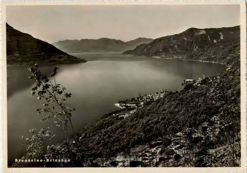 Brenscino Brissago -166328