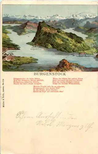 Bürgenstock -165660