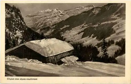 Chalet des alpes vaudoises -167228