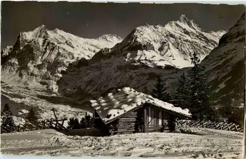 Wetterhorn und Schreckhorn -164994