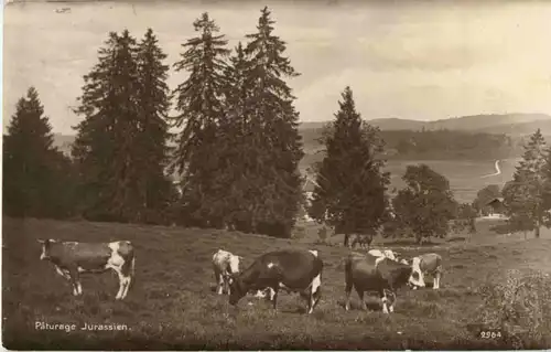 Paturage Jurassien -166904