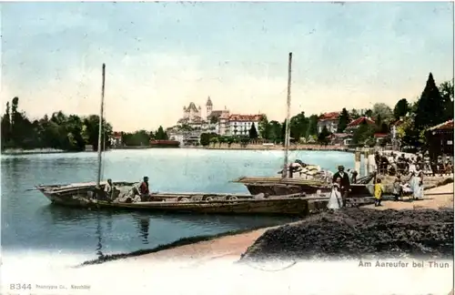 Aareufer bei Thun -165342