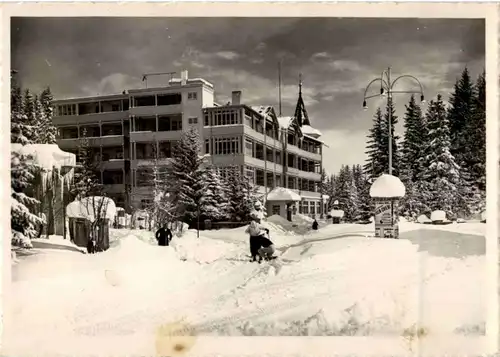 Arosa - Hotel Alexandra -166150