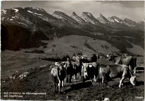 Auf Frosalp im Obertoggenburg -166572