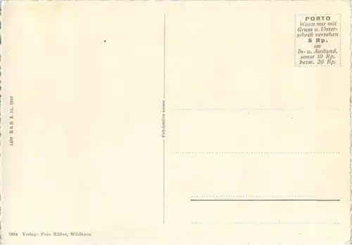 Wildhaus mit Schafberg -166692