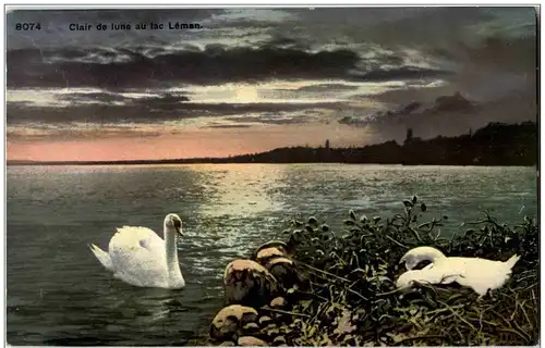 Clair de lune au lac Leman -128308