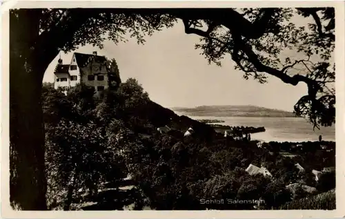 Schloss Salenstein -169192