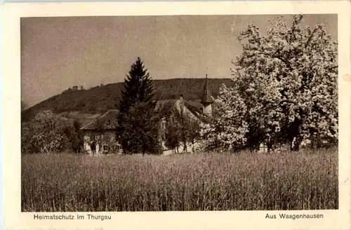 Waagenhausen -169256