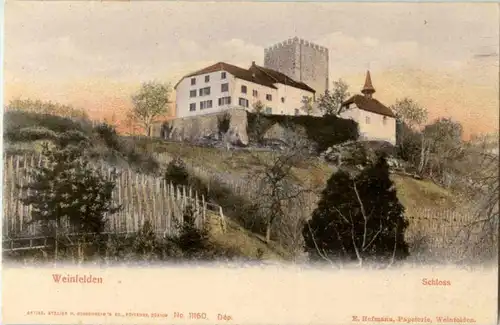 Weinfelden - Schloss -167702