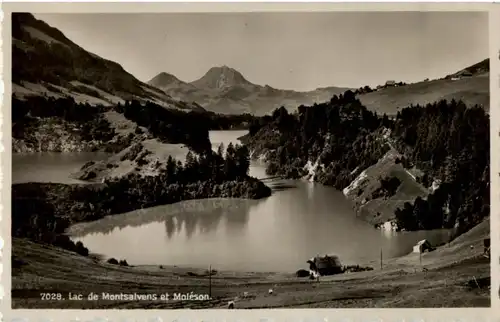 Lac de Montsalvens et Moleson -167370